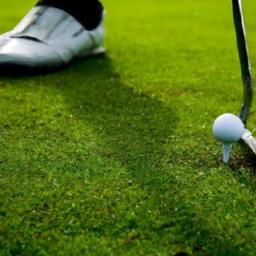 Evidence-Based Techniques for Golf Putting Performance Biomechanical Principles of an Effective Putting Grip and Hand Positioning