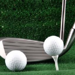 Quantitative Assessment of Golf Equipment Performance Empirical Analysis of Shaft Dynamics and Vibrational Modes with Recommendations for material Selection