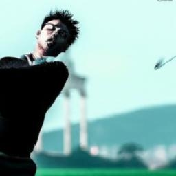 Quantitative Analysis of Golf Scoring and Strategy Statistical Decomposition of Scoring: Identifying High Impact Shot Types and Situational Variables