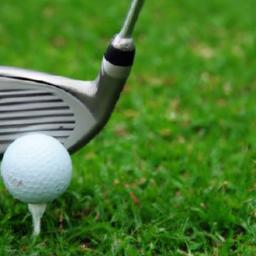 Shaft Flex Influence on Driver Performance Metrics Empirical Effects of Shaft Flex on Launch Angle Spin Rate and Ball Flight Trajectory