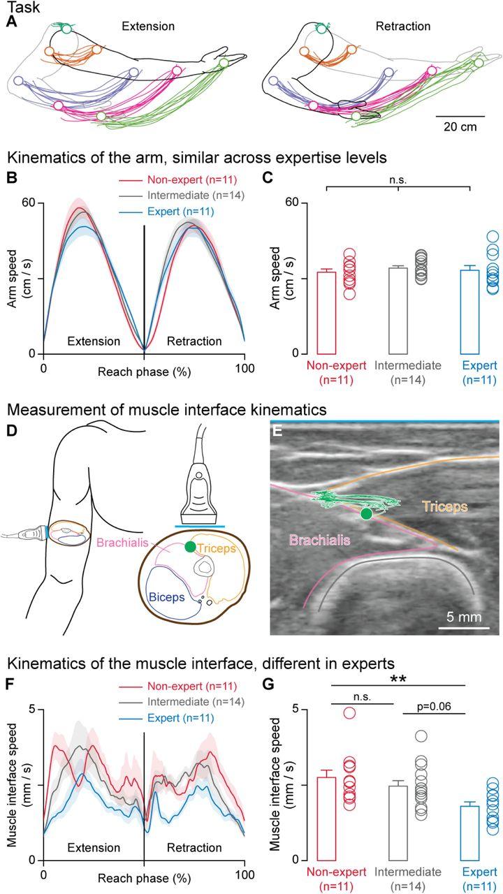Here are several more engaging title options you can use: 1. The Science of the Swing: Academic Strategies to Transform Your Golf Game 2. From Classroom to Fairway: Evidence-Based Training for Peak Golf Performance 3. Stroke of Genius: How Academic I Here's a comma-separated list of highly relevant keywords extracted from the heading