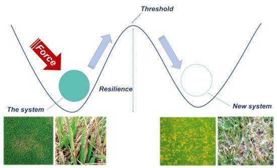 Here are several more engaging title options-pick the tone you like (strategic, creative, or practical): 1. Designing Delight: Crafting Golf Course Layouts That Play Great 2. The Art of Playable Courses: Smart Design for Better Golf 3. Coursecraft: E Here are the most relevant keywords extracted from the heading 