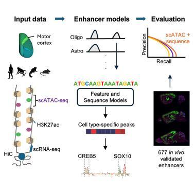 Biomechanical Analysis of the Golf Swing Technique Here's a comma-separated list of highly relevant keywords extracted from the article heading:
Biomechanical Analysis