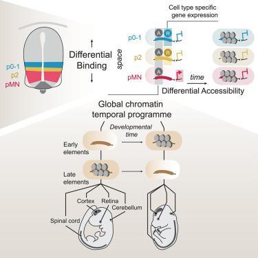 Here are several engaging rewrites - pick the tone you like (pick one or mix ideas): 1. Science-Backed Secrets to Mastering Golf Chipping 2. Chip Like a Pro: Biomechanics and Tactics for Precision Around the Green 3. From Theory to Turf: An Evidence- Here's a comma-separated list of the most relevant keywords extracted from the article heading:
**Golf Chipping