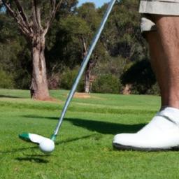 Unlocking Lee Trevino's Winning Formula: Master the Swing, Putting, and Driving to Revolutionize Your Golf Game Technical Breakdown of Grip, Stance, and Posture for Recreating Trevino's Consistent Ball Striking