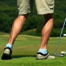 Biomechanics and Training Strategies for Golf Fitness Optimizing Trunk Rotation and Pelvic Stability through Targeted Mobility and Strength Interventions
