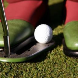 An Evidence-Based Analysis of Golf Putting Techniques Biomechanical Foundations of the Putting Grip: Evidence and practical Recommendations