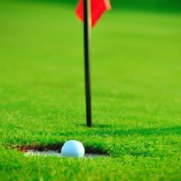 Here are several punchy options - pick a tone and I can tailor more: 1. "Three-Putt Disaster, Four-Putt Fiasco - Shaky Hands and Greg Norman's Shock LIV Exit"
2. "Late-Round Meltdowns and Off-Course Shock: 3-Putts, 4-Putts and Norman's LIV Departure"
3. Three putt collapse exposes green reading flaws and prescribes routine adjustments to prevent late round breakdowns