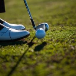 Here are some more engaging title options - pick the tone you like (insightful, tactical, inspirational): 1. Winning Edge: Inside the Performance, Psychology, and Strategy of Golf Legends 2. Legendary Swing: The Mindset, Mechanics, and Strategy Behind Biomechanical Determinants of Championship Shots: kinematic Patterns, Force profiles, and Practical training Protocols