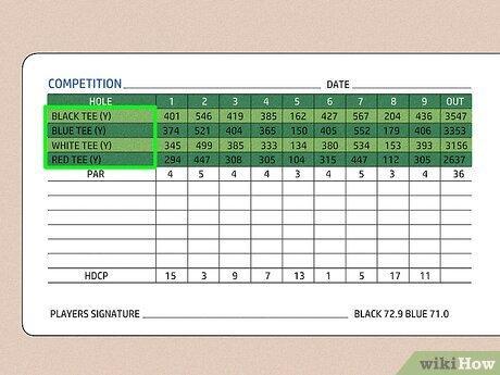 Analyzing Golf Scoring: Methods and Strategic Insights golf scoring