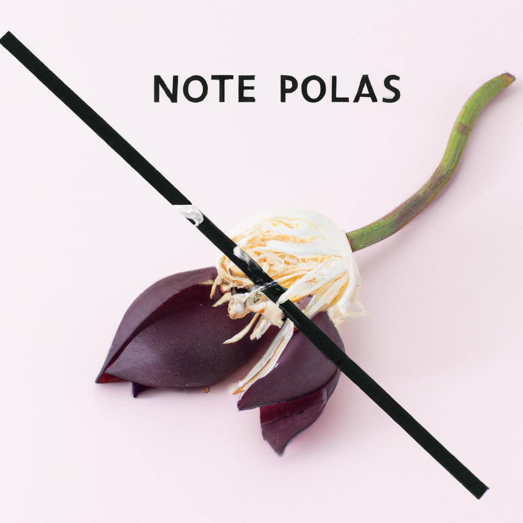 Absurd Lies and Fair Play: Should Victims Get a Free Pass? The Etiquetteist Explores the Debate Absurd Lies and Fair Play: Should Victims Get a Free Pass? The Etiquetteist Explores the Debate